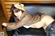 Cosplay Mikoshiba - Amamiya Nude Doggy P10 No.d43cec Image No. 5