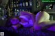 Anri Sugihara - Mayhemcom Drinking Sperm P4 No.b9dc93 Image No. 17